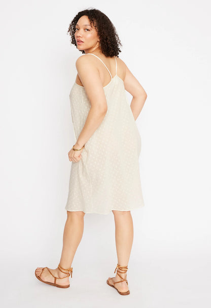 Classic Slip in Natural Swiss Ellipse